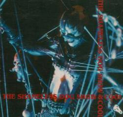 Media Youth : The Shameless Dog Show and Cool